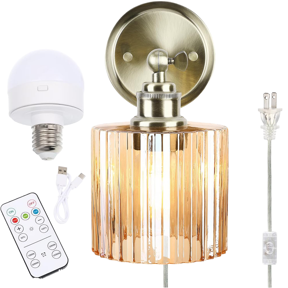Modern Plug-In Wall Sconce with Remote Control